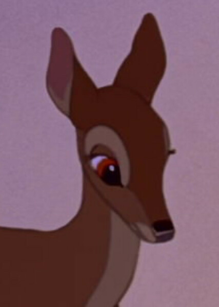 Bambi's Mother photo