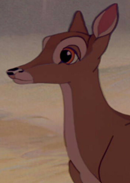 Bambi's Mother photo