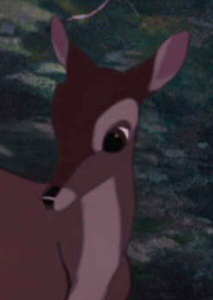Bambi's Mother photo