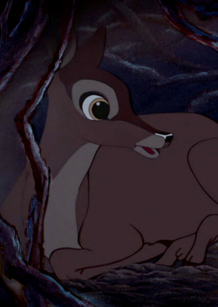 Bambi's Mother photo
