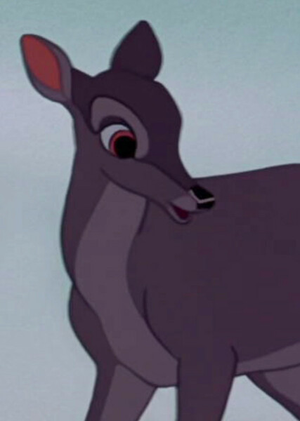 Bambi's Mother photo