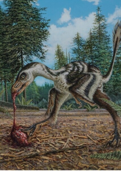 Bambiraptor photo