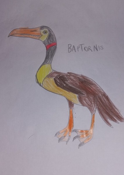 Baptornis photo
