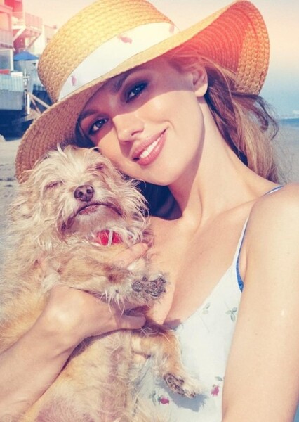 Bar Paly photo