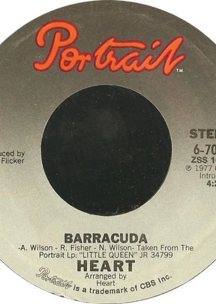 Baracuda photo