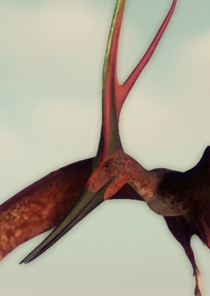 Barbaridactylus