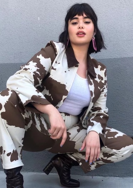 Barbie Ferreira photo