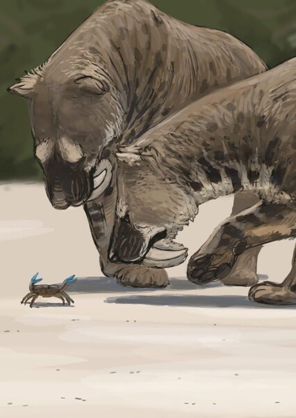 Barbourofelis