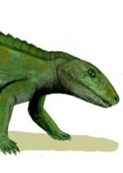 Barcinosuchus