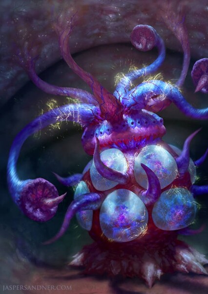 Barinade photo