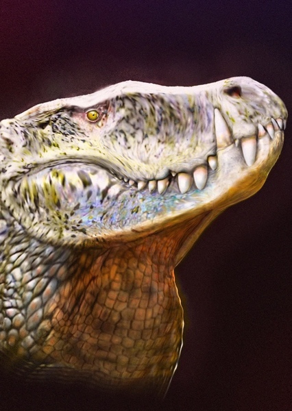 Barinasuchus photo