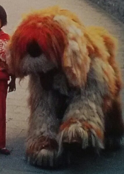 Barkley photo