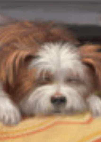 Barksee (American Girl) photo