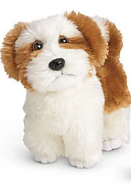 Barksee (American Girl) photo