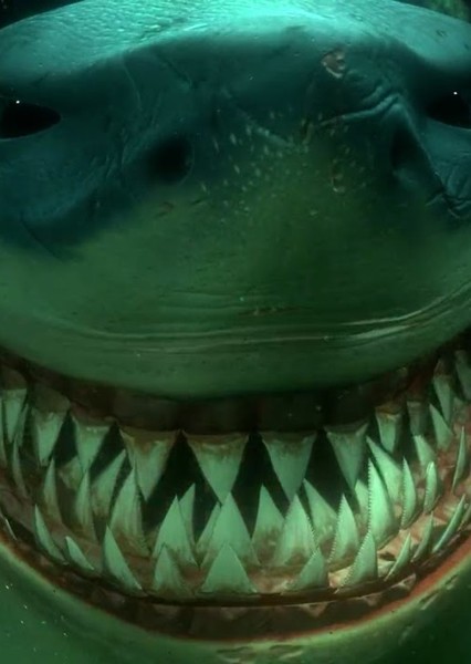 King Shark