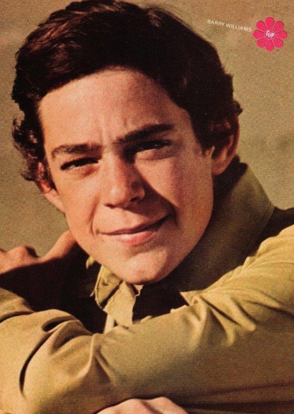 Barry Williams photo
