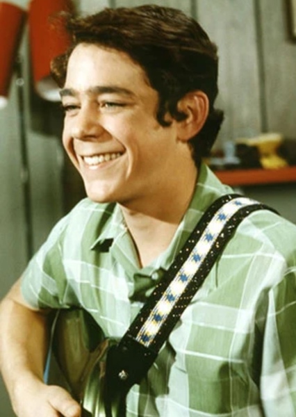 Barry Williams photo