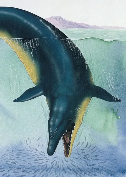 Basilosaurus photo