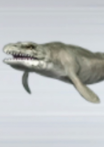 Basilosaurus photo