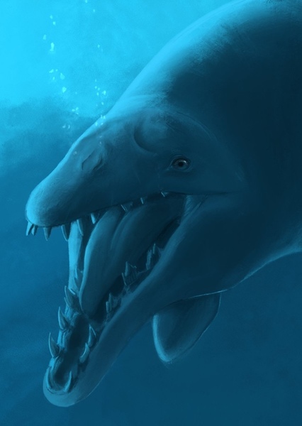 Basilosaurus photo