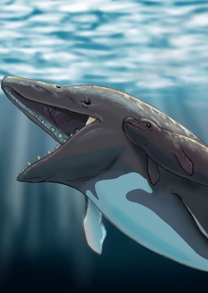 Basilosaurus photo