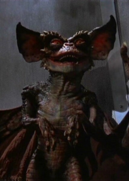 Bat Gremlin photo