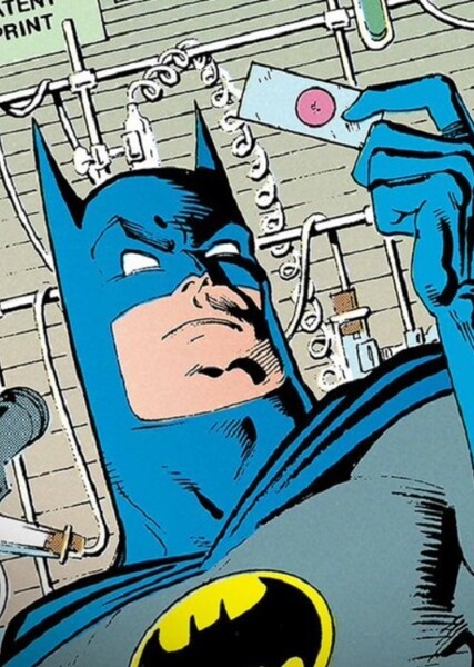 Batman (Bruce Wayne) photo