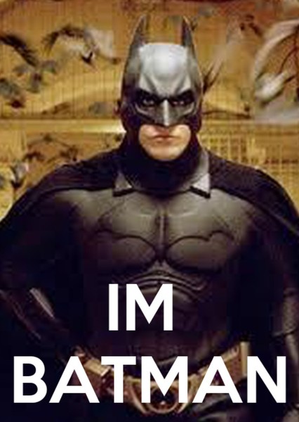 Batman (Bruce Wayne) photo