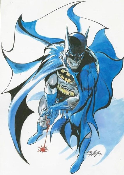 Batman (Bruce Wayne) photo