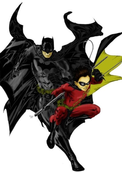 Batman and Robin (Nightwing) photo