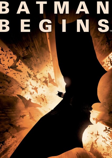 Batman Begins (2005) Film photo