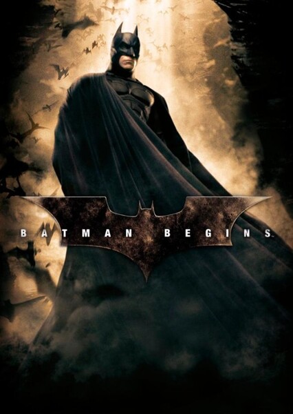 Batman Begins (video game)
