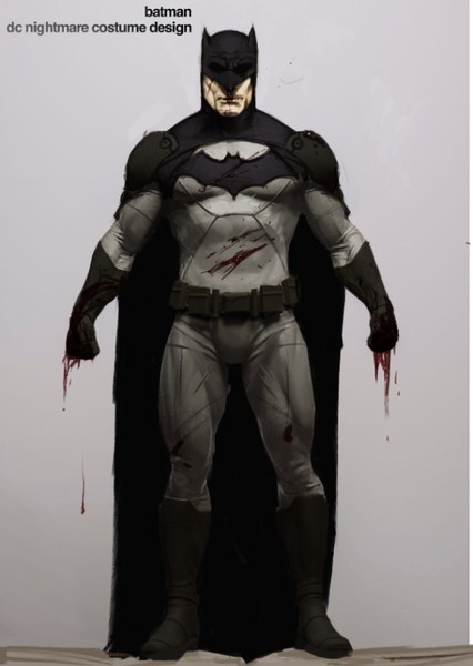 Batsuit photo