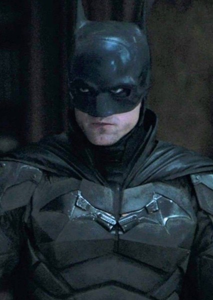 Batsuit photo