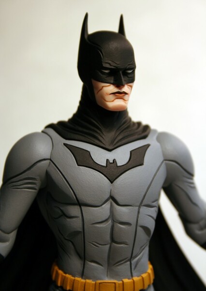 Batsuit photo