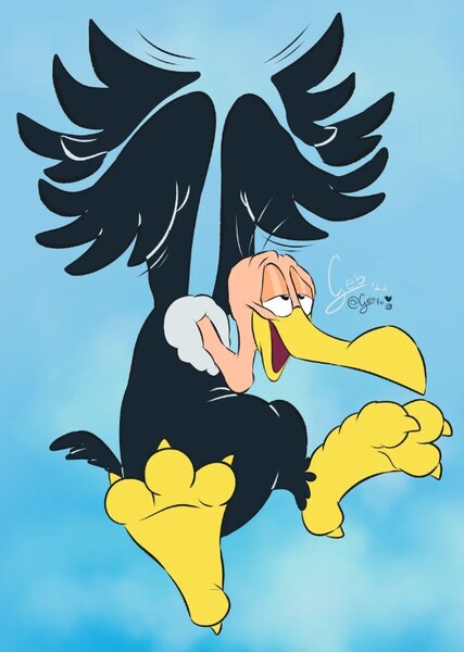Beaky Buzzard photo