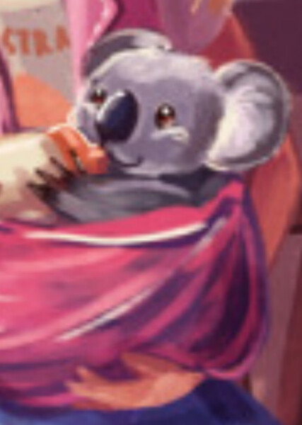 Bean the Koala photo