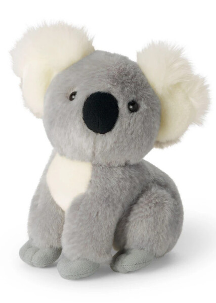 Bean the Koala photo