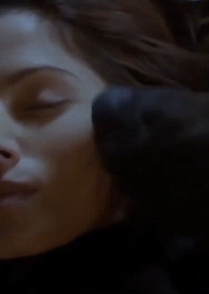 Bear licking Sameen Shaw