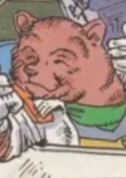 Bear Noguccini