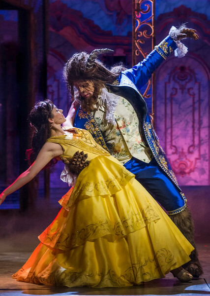 Beauty and the Beast (Disney song) photo