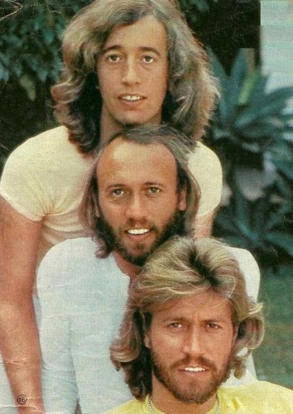 Tavares (group) photo