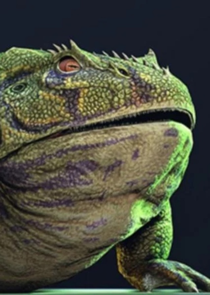 Beelzebufo photo
