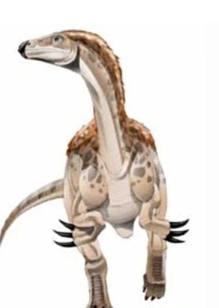 Beipiaosaurus
