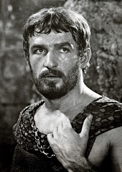 Bekim Fehmiu photo
