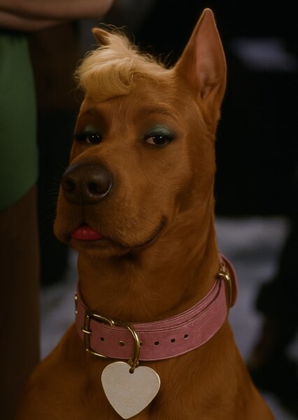 Bella Doo