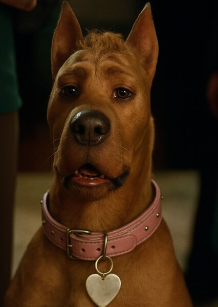 Bella Doo photo
