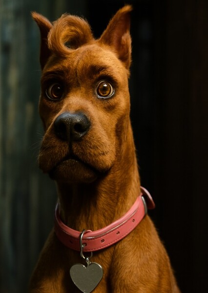 Bella Doo photo