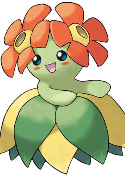 Bellossom photo