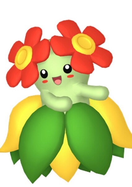 Bellossom photo